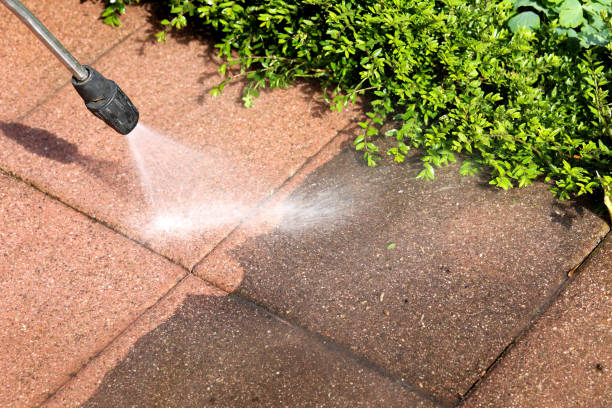 Best House Pressure Washing  in South Wallins, KY